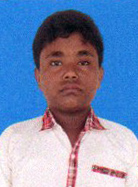 Owl Image