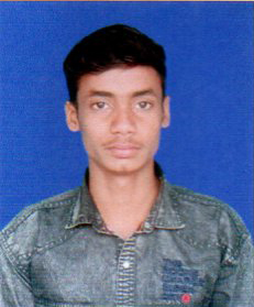 Owl Image