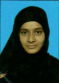 Owl Image