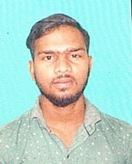 Owl Image