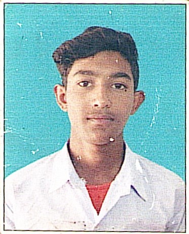 Owl Image