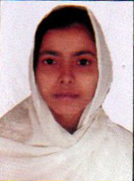 Owl Image