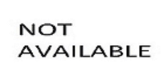 Owl Image