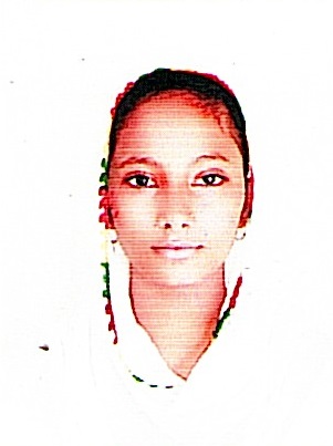 Owl Image