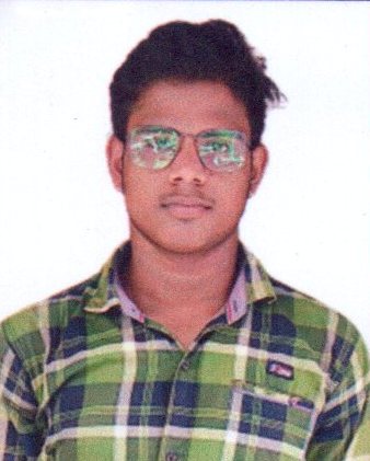 Owl Image