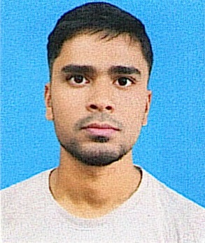 Owl Image