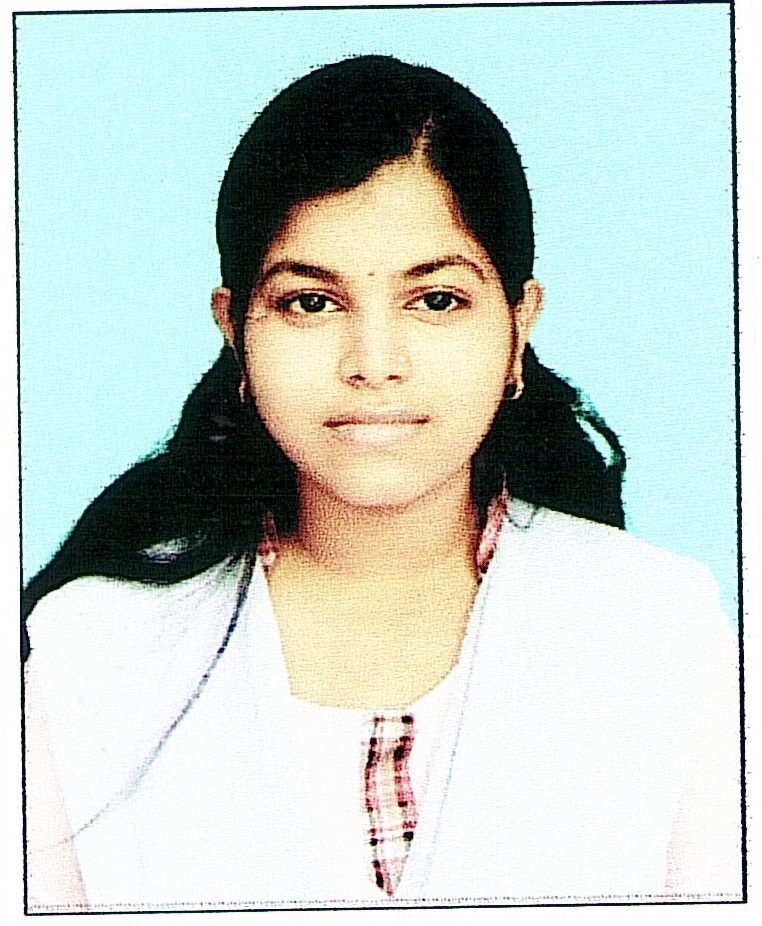 Owl Image